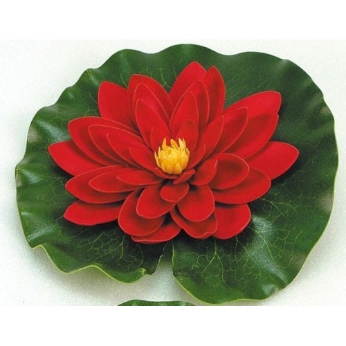 Bassin de jardin : Nénuphar rouge 20 cm, Nenuphars decoratifs Bassin de jardin : Nénuphar rouge 20 cm, Nenuphars decoratifs