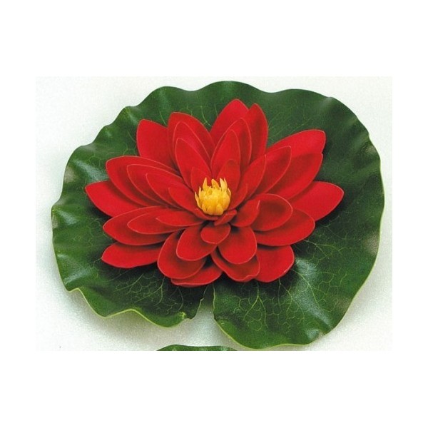 Bassin de jardin : Nénuphar rouge 20 cm, Nenuphars decoratifs