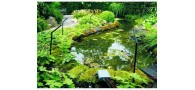 Bassin de jardin : Pond Protector anti héron 80m, Anti héron