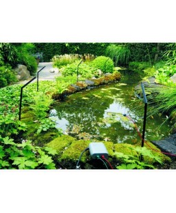 Bassin de jardin : Pond Protector anti héron 80m, Anti héron