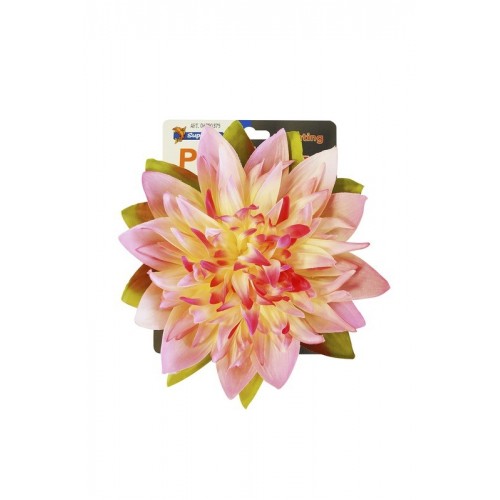 Bassin de jardin : Nénuphar 17 cm rose, Nenuphars decoratifs Bassin de jardin : Nénuphar 17 cm rose, Nenuphars decoratifs