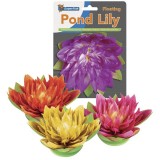 Bassin de jardin : Nénuphar 17 cm rose, Fin de série