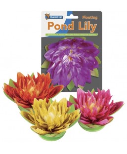 Bassin de jardin : Nénuphar 17 cm rose, Fin de série