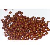 Bassin de jardin : Pack P/A 1kg - spirulina 1kg, Fin de série