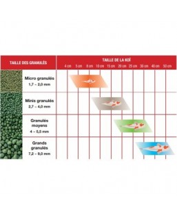 Bassin de jardin : Hikari staple 2KG mini, Nourriture Hikari