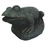 Bassin de jardin : Filtre grenouille, Fin de série