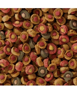 Bassin de jardin : 5kg sera Koi All Seasons Probiotic, Fin de série