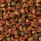 Bassin de jardin : sera Koi All Seasons Probiotic 7KG, Nourriture Serapond
