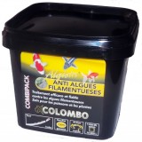 Traitement de l eau - Colombo Algisin 1000ml (Bassin de 10M3) - Col...