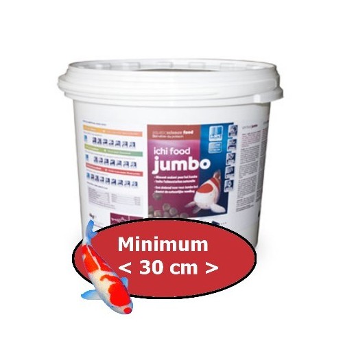 Bassin de jardin : Ichi Food Jumbo 4 kg, Fin de série