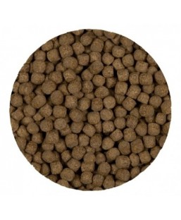 Bassin de jardin : SaniKoi Staple Prime 6mm 7.6kg (20L), Nourriture Sanikoï