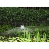 Bassin de jardin : Brumisateur Flottant, Diffuseur de brume