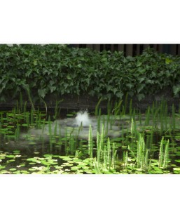 Bassin de jardin : Brumisateur Flottant, Diffuseur de brume
