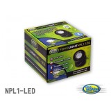 Bassin de jardin : Pond LED light 1 x1.6W, Eclairages