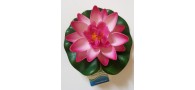 Bassin de jardin : Lotus Rose 10cm, Nenuphars decoratifs