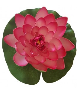 Bassin de jardin : Lotus Rose 20cm, Nenuphars decoratifs