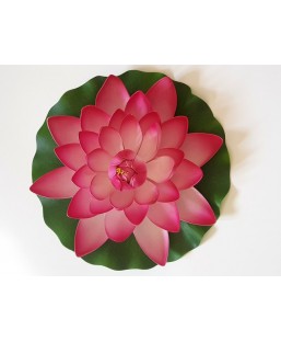 Bassin de jardin : Lotus Rose 28cm, Nenuphars decoratifs