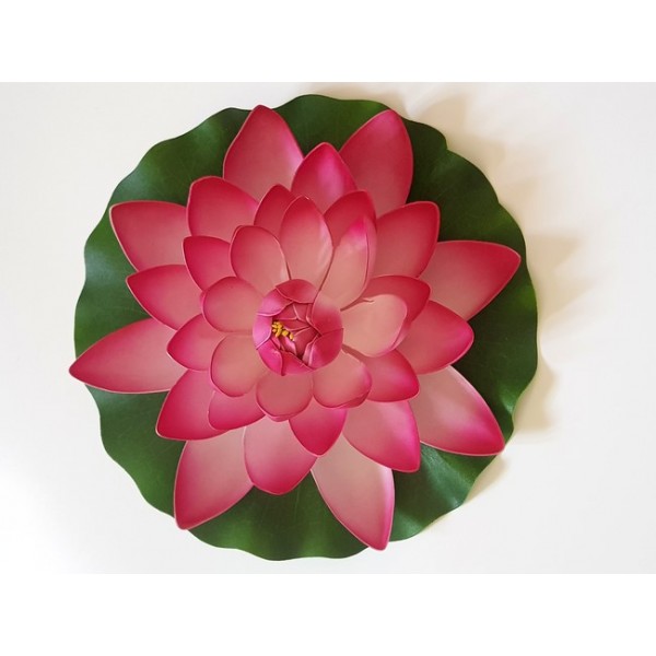 Bassin de jardin : Lotus Rose 28cm, Nenuphars decoratifs