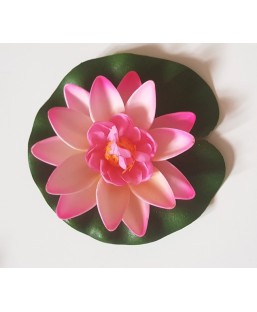 Bassin de jardin : Lotus fushia 10cm, Nenuphars decoratifs