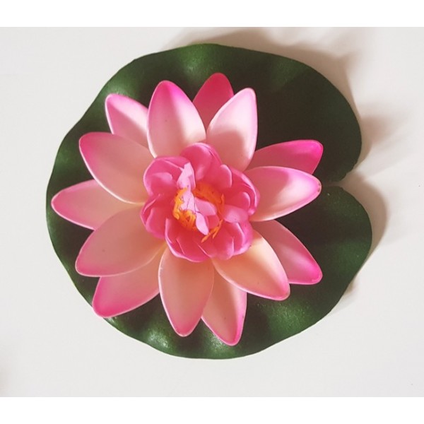 Bassin de jardin : Lotus fushia 10cm, Nenuphars decoratifs