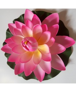 Bassin de jardin : Lotus fushia 17cm, Nenuphars decoratifs