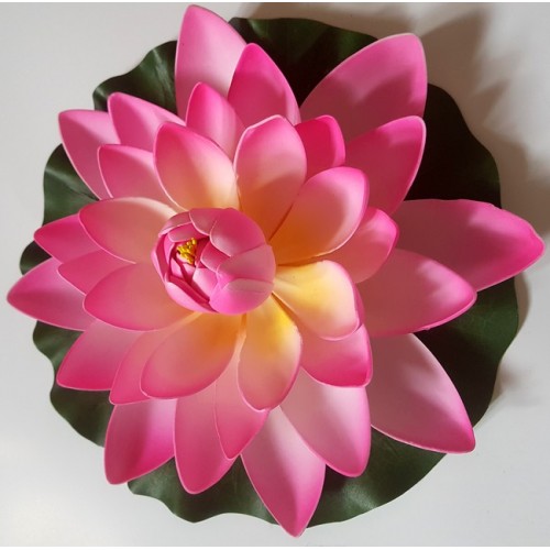 Bassin de jardin : Lotus fushia 17cm, Nenuphars decoratifs