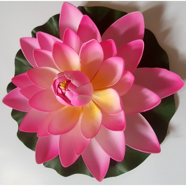 Bassin de jardin : Lotus fushia 20cm, Nenuphars decoratifs