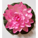 Bassin de jardin : Lotus fushia 28cm, Nenuphars decoratifs