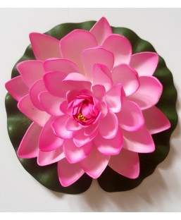 Bassin de jardin : Lotus fushia 28cm, Nenuphars decoratifs