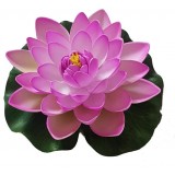 Bassin de jardin : Lotus purple 17cm, Nenuphars decoratifs