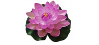 Bassin de jardin : Lotus purple 17cm, Nenuphars decoratifs