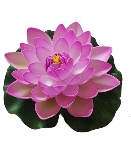 Bassin de jardin : Lotus purple 17cm, Nenuphars decoratifs