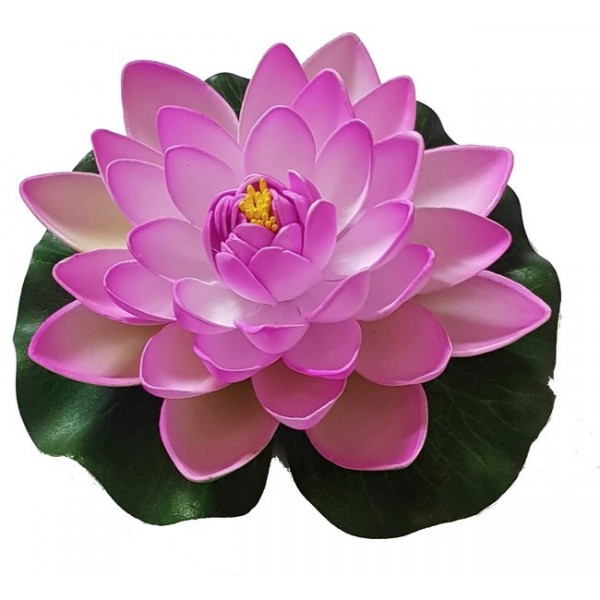 Bassin de jardin : Lotus purple 17cm, Nenuphars decoratifs