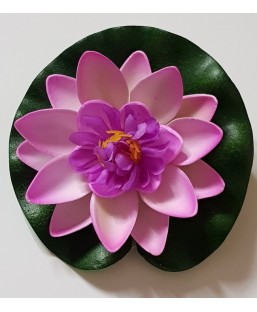 Bassin de jardin : Lotus purple 10cm, Nenuphars decoratifs