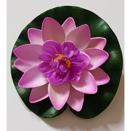 Bassin de jardin : Lotus purple 10cm, Nenuphars decoratifs