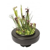 Bassin de jardin : PANIER PLANTE FLOTTANT 22CM, Paniers flottants