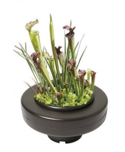 Bassin de jardin : PANIER PLANTE FLOTTANT 22CM, Paniers flottants