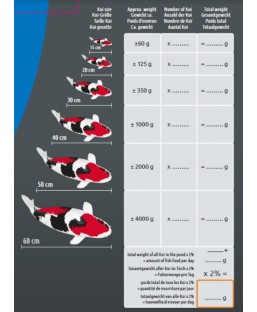 Distributeur automatique de nourriture SUPERFISH pour bassin à