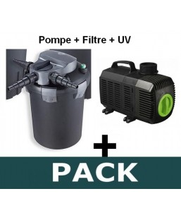 BF 12000 ( UV 18W) + NM 6500 variable
