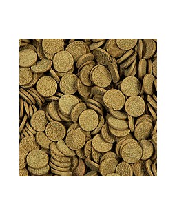 Bassin de jardin : SERA esturgeons chips XXL 3.8L (1.7kg), Nourriture Serapond