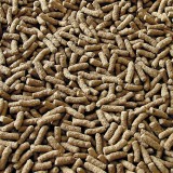 Bassin de jardin : Sera Pond sticks Granulat 1L (170G), Nourriture Serapond