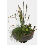 Bassin de jardin : PANIER PLANTE FLOTTANT 22CM, Paniers flottants