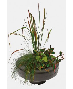 Bassin de jardin : PANIER PLANTE FLOTTANT 22CM, Paniers flottants