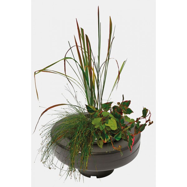 Bassin de jardin : PANIER PLANTE FLOTTANT 22CM, Paniers flottants