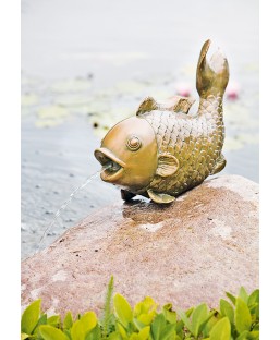 Bassin de jardin : Gargouille "Fish" 43 cm HEISSNER, Fin de série