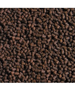 Bassin de jardin : SERA pond esturgeons perlets 3.8L (2KG), Nourriture Serapond