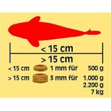 Bassin de jardin : SERA KOI Professional printemps/ automne 1 KG, Nourriture Serapond