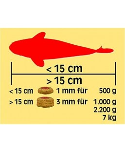 Bassin de jardin : SERA KOI Professional printemps/ automne 1 KG, Nourriture Serapond