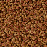Bassin de jardin : SERA KOI Professional été 1KG, Nourriture Serapond