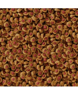 Bassin de jardin : SERA KOI Professional été 1KG, Nourriture Serapond